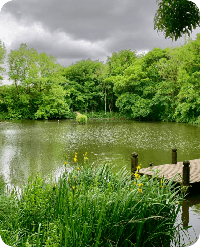 Contact - Fishing Lake